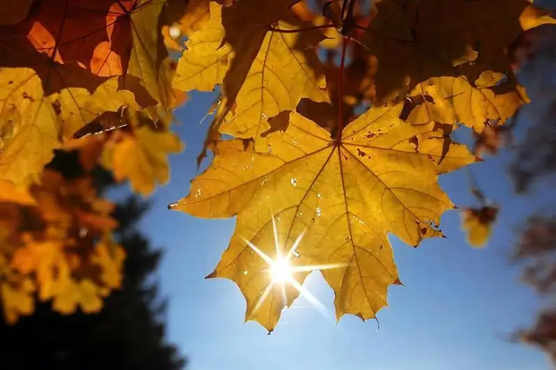 На большей территории Казахстана сохраняется погода без осадков