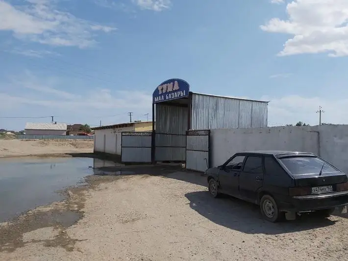 Ветеринары проверили скотные рынки для забоя скота в Атырау