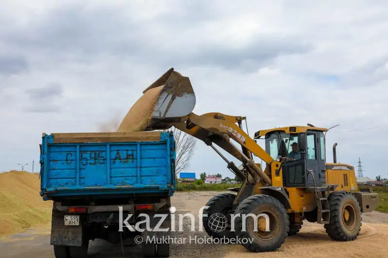 Уборку урожая на землях проблемных агрохолдингов возьмут на контроль