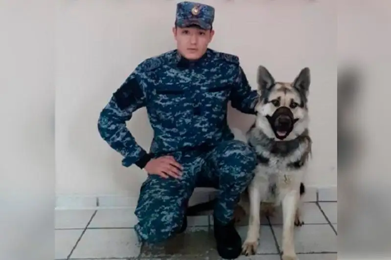 268 преступлений раскрыла акмолинская служебная собака Вия