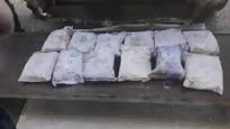 Пограничники предотвратили ввоз крупной партии героина