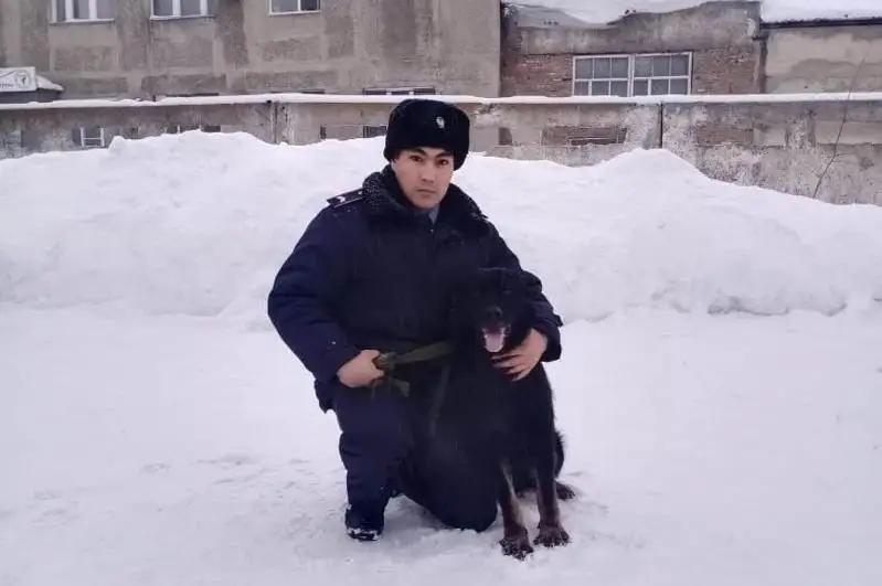 Служебный пес помог найти украденную медвежью шкуру в Усть-Каменогорске