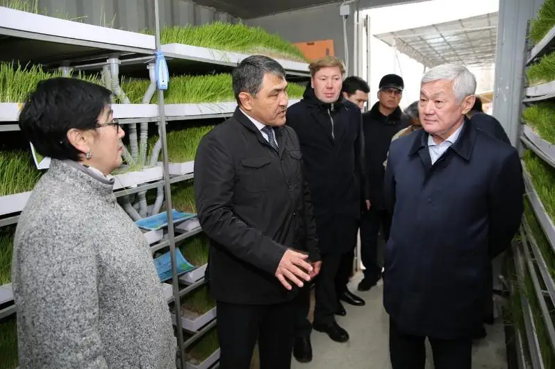 Бердибек Сапарбаев: Объединение крестьянских хозяйств - единственный путь к успеху