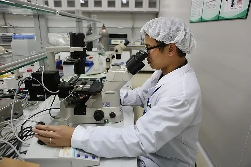 Количество случаев лихорадки денге выросло в 5 раз в Сингапуре