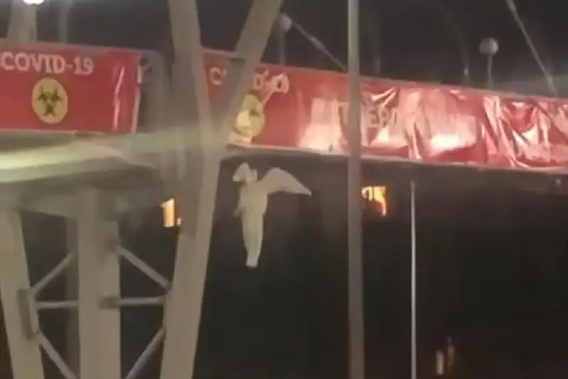 Видео висящего «ангела» на мосту по аль-Фараби в Алматы, прокомментировали в полиции