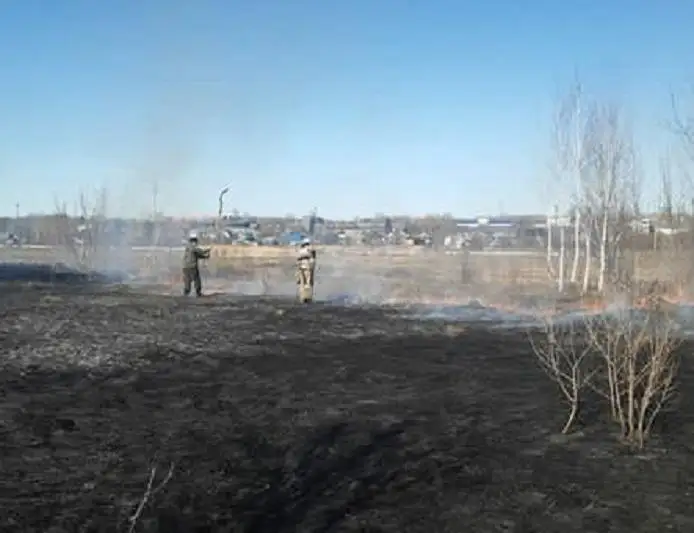 Пожар на территории дачного общества перекинулся на теплотрассу в Усть-Каменогорске