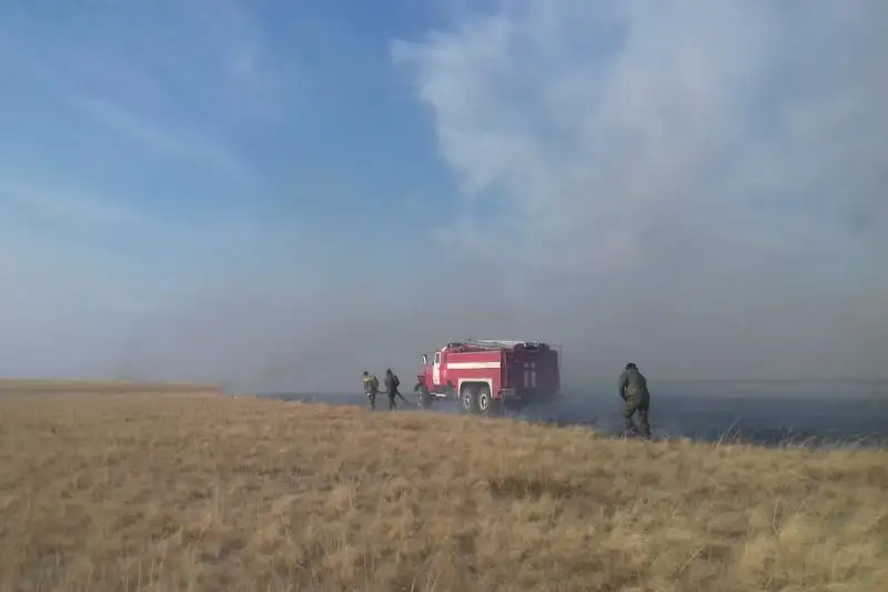 Ликвидирован пожар площадью более тысячи га в Тайыншинском районе СКО