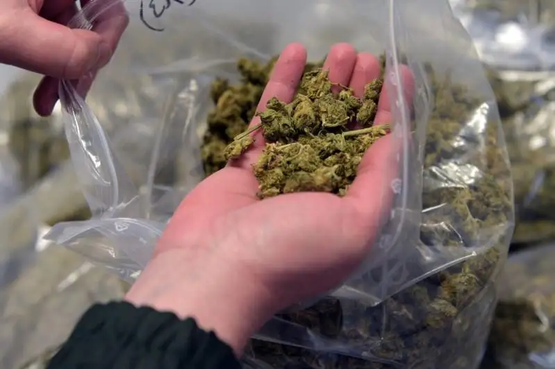 Сбытчиков наркотиков задержали в Акмолинской области