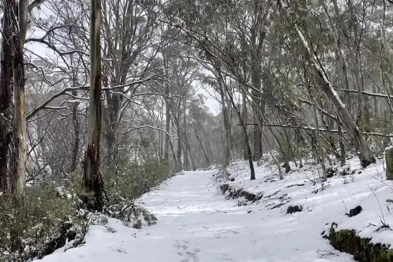 Австралию впервые за 15 лет накрыл антарктический циклон, выпал снег