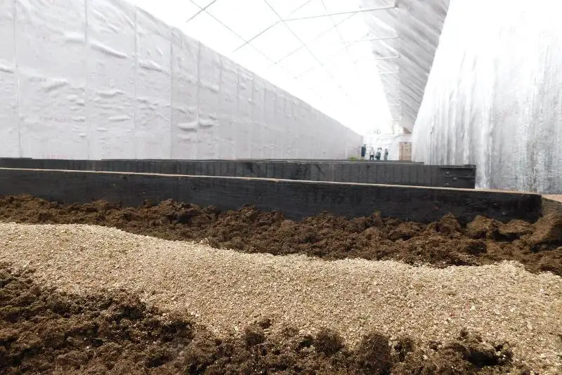 Теплица-термос заработает в скором времени в Сатпаеве