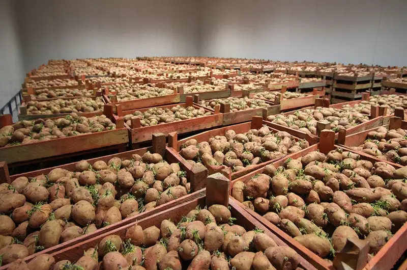 Стабилизационный фонд заработал в Семее