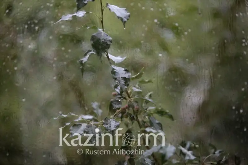 Дожди и ослабление жары прогнозируют синоптики в Казахстане