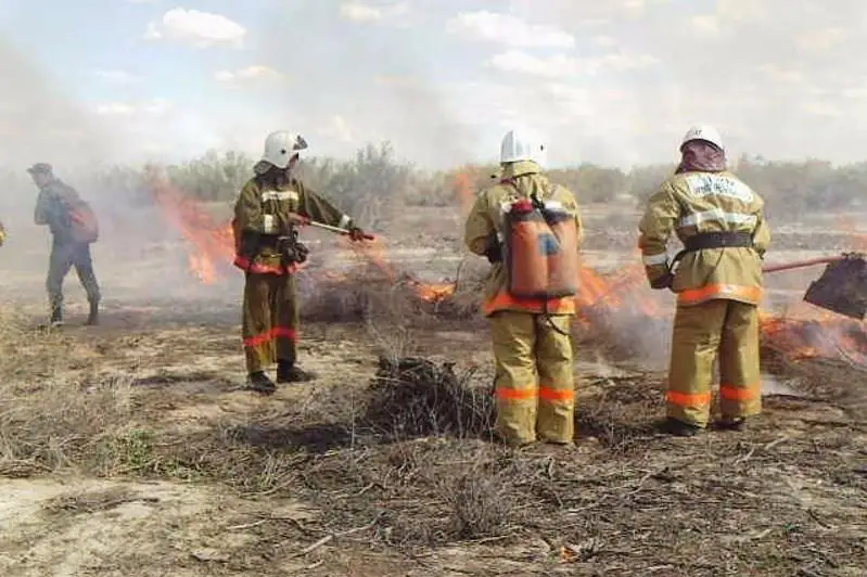 17 мобильных групп готовы тушить природные пожары в Жамбылской области