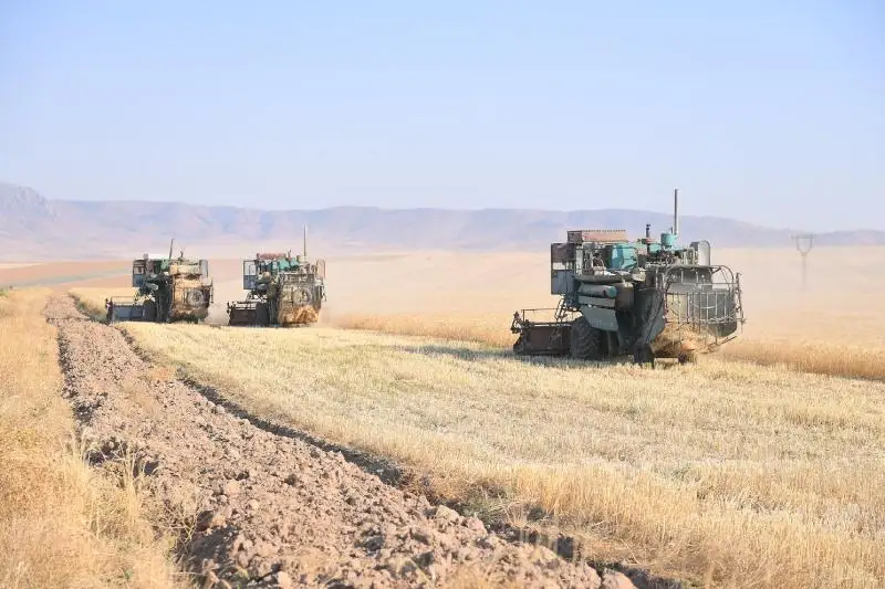 93 тысячи гектаров превысили посевные площади в Байдибекском районе Туркестанской области