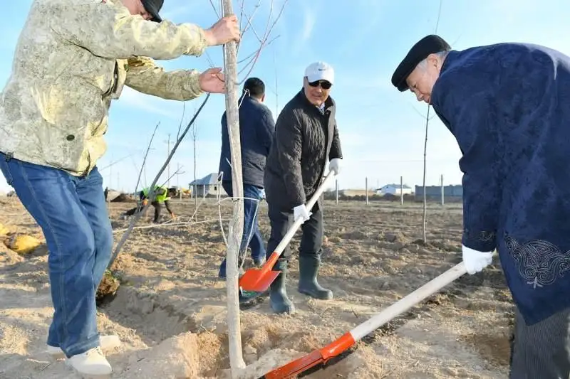 Умирзак Шукеев посадил деревья на территории зеленого пояса Туркестана