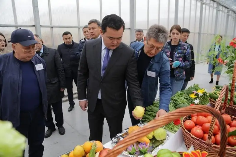 В Карагандинской области собрали 270 тысяч тонн  картофеля