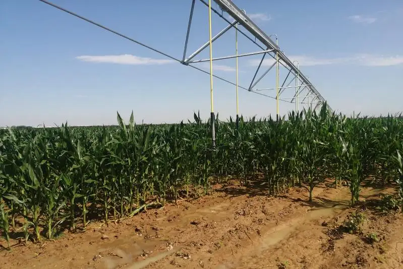 В Туркестане «продовольственный пояс» обеспечит работой до 500 человек