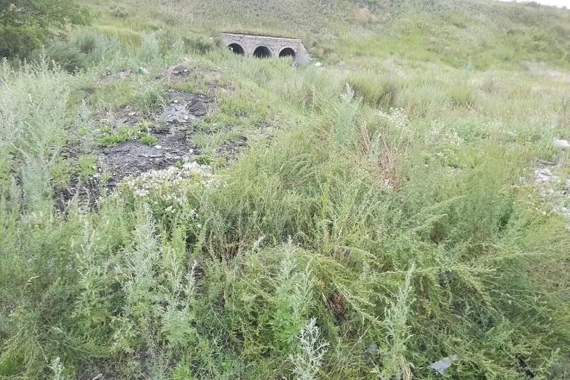 Близ Караганды поймали виновников стихийной свалки