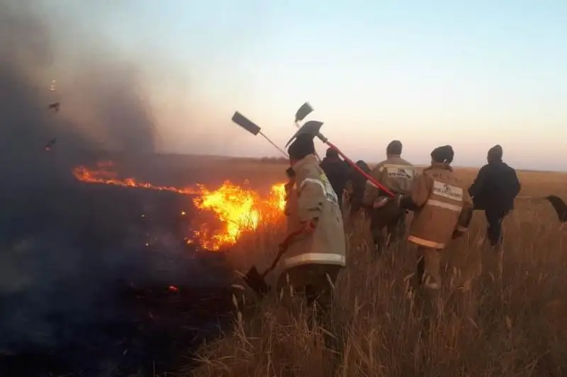 Четыре гектара камыша и сухой травы горело в Жамбылской области