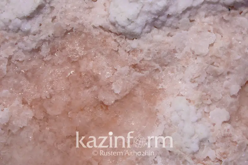 Соль из розового озера Кобейтуз воруют и продают за 5 тысяч тенге
