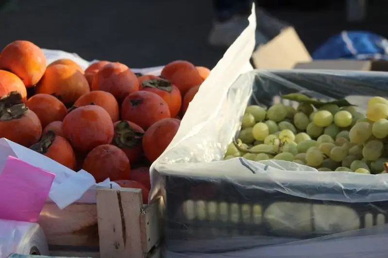 Более 5 млрд тенге инвестировано в Ордабасинский район Туркестанской области