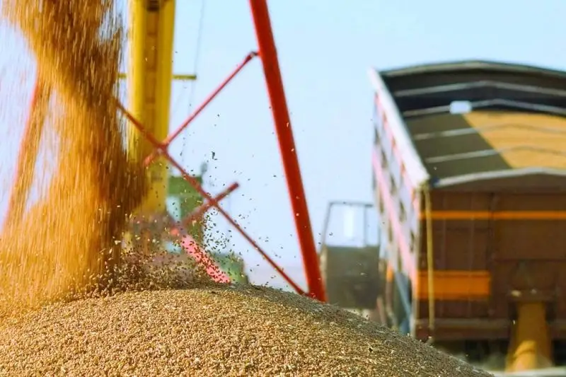 В 2 раза увеличить переработку зерновых намерены в СКО
