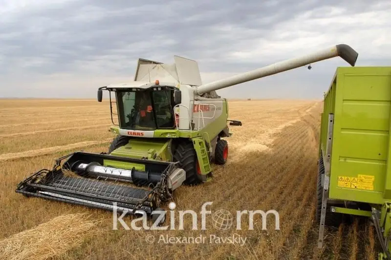 Более 900 тысяч га зерновых убрано в Казахстане