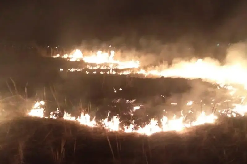 Около 30 случаев возгораний зафиксировано за сутки в степях ВКО
