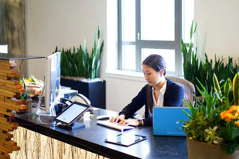 Сотрудники казахстанских компаний спасли 700 деревьев