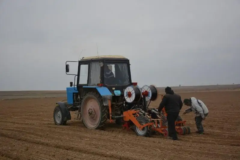 В Шардаре полным ходом идут посевные работы