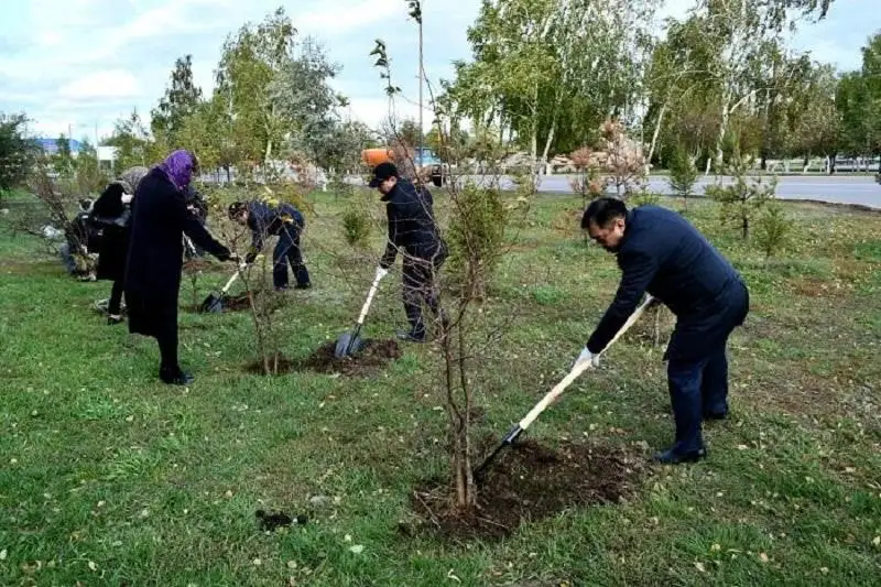 На озеленение Атырау направят 4,6 млрд тенге