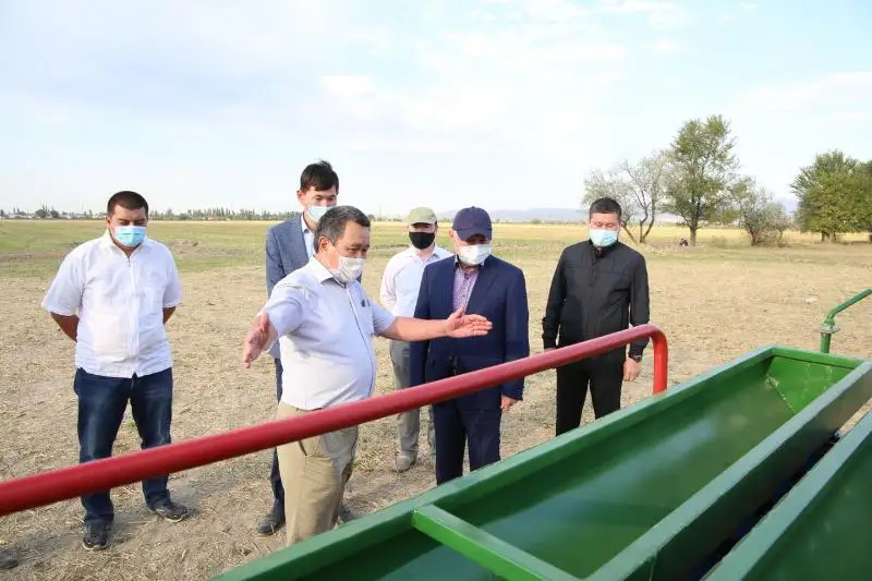 От кулинарии до металлургии – жамбылские аграрии оценили возможности рапса