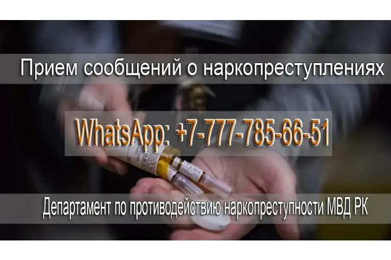 По WhatsApp могут сообщать о фактах распространения наркотиков казахстанцы