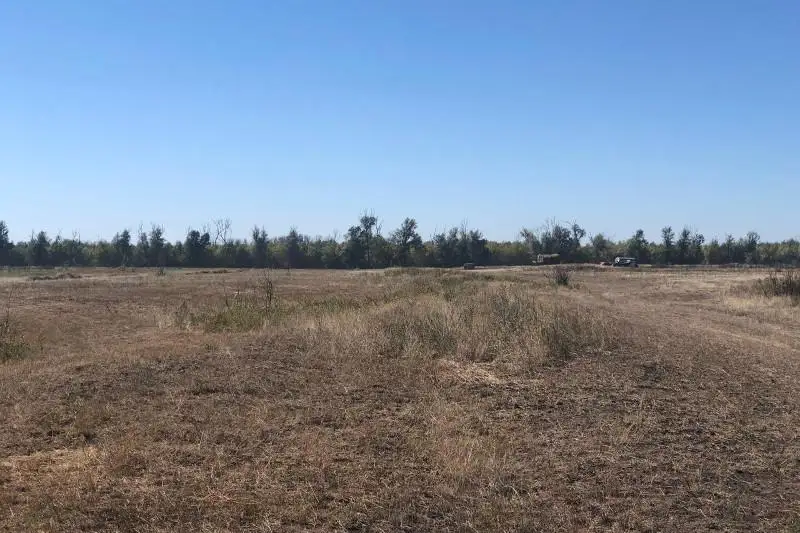 16 тысяч гектаров неиспользуемых земель изъяли у фермеров в ЗКО