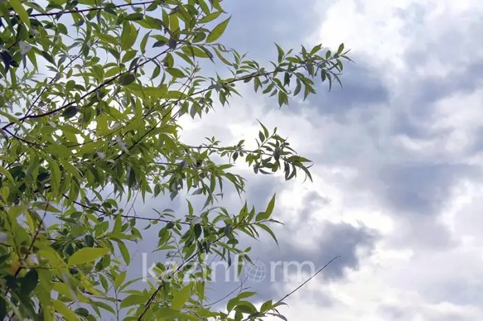 Какие метеоусловия будут в Казахстане 22 июля