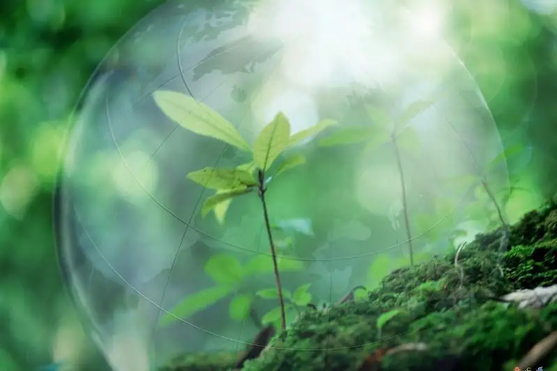 В экологии нужно начинать с мелочей - волонтер