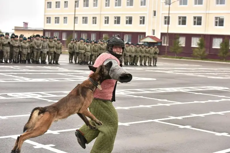 Лучших кинологов определили в Национальной гвардии