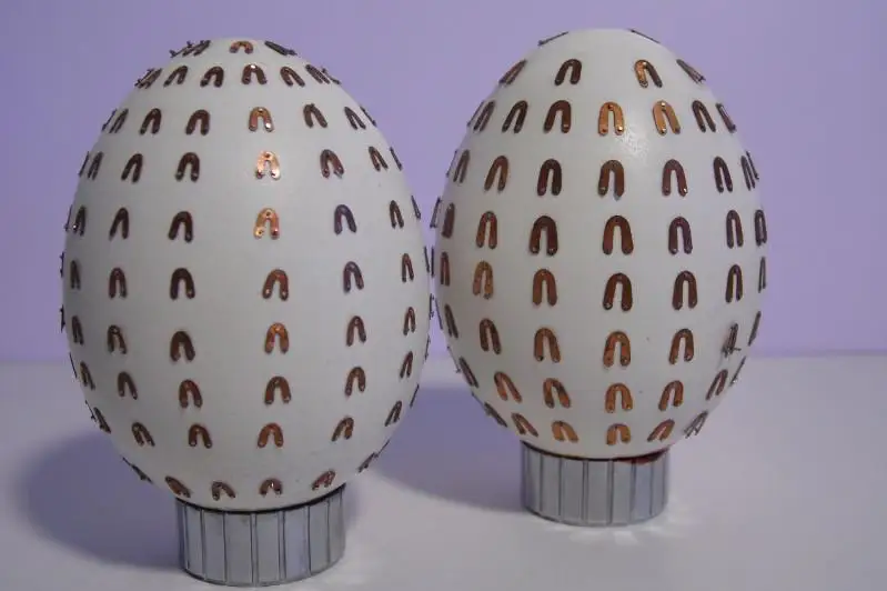 Больше тысячи подков на яйцо: «Левша из Балхаша» побил новый мировой рекорд