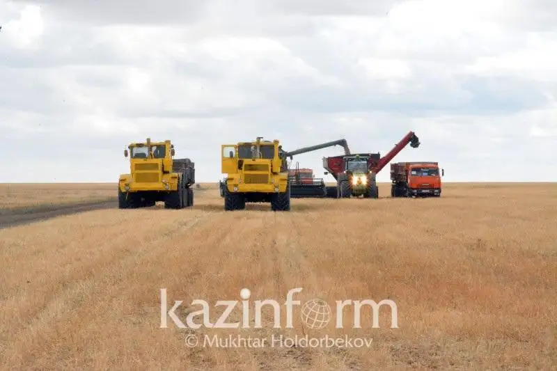 В Павлодарской области засеют 1,48 млн га площадей