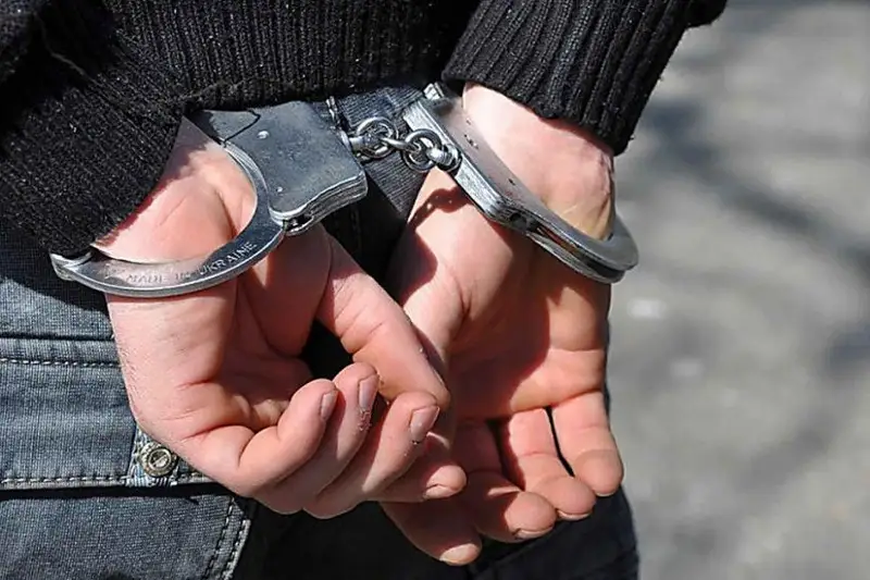 Породистых телят украл пастух в Акмолинской области