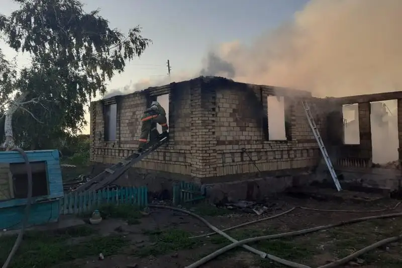 Трое детей погибло при пожаре в Акмолинской области