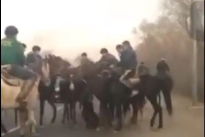 Сундет той: организатора кокпара на трассе наказали в Алматинской области