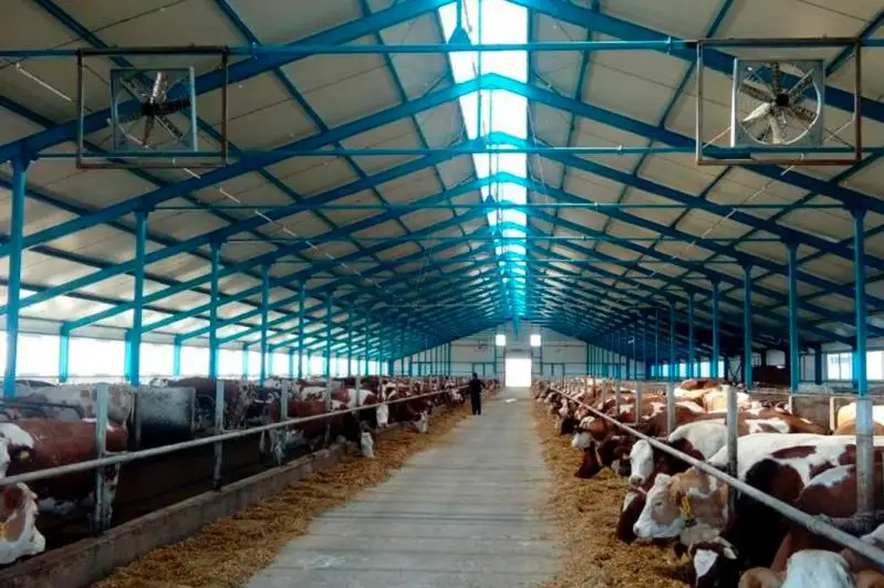 В Акмолинской области начато строительство новой молочно-товарной фермы