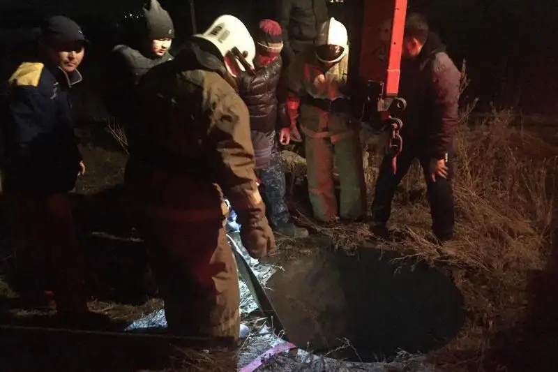 Провалившуюся в выгребную яму лошадь спасли в Актобе