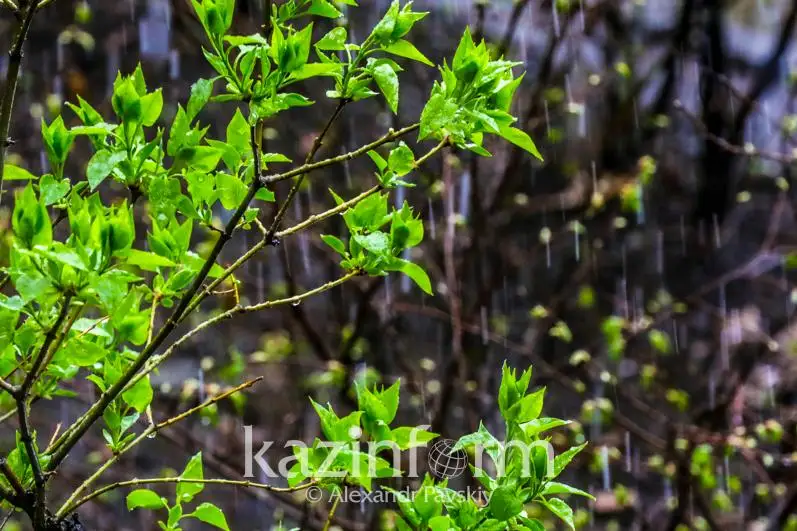 Дожди со снегом, гроза и град ожидаются в Казахстане 25-27 апреля