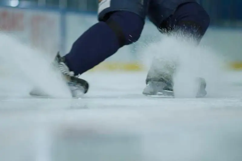 Ботинок выбросил на лёд 16-летний павлодарец во время хоккейного матча