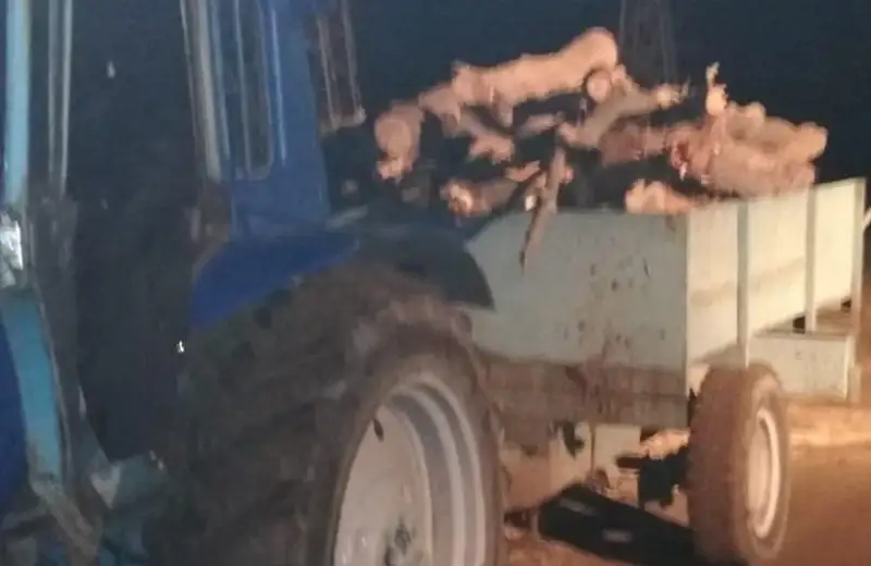 Павлодарские лесники задержали браконьеров на тракторе