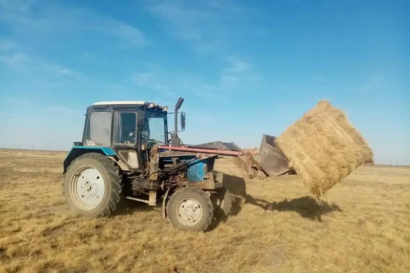 Почти 80% планируемого объема сена собрали фермеры Казталовского района ЗКО