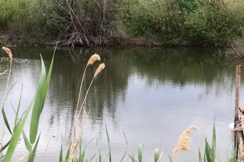 Более одного миллиона мальков выпустили в водоемы ЗКО