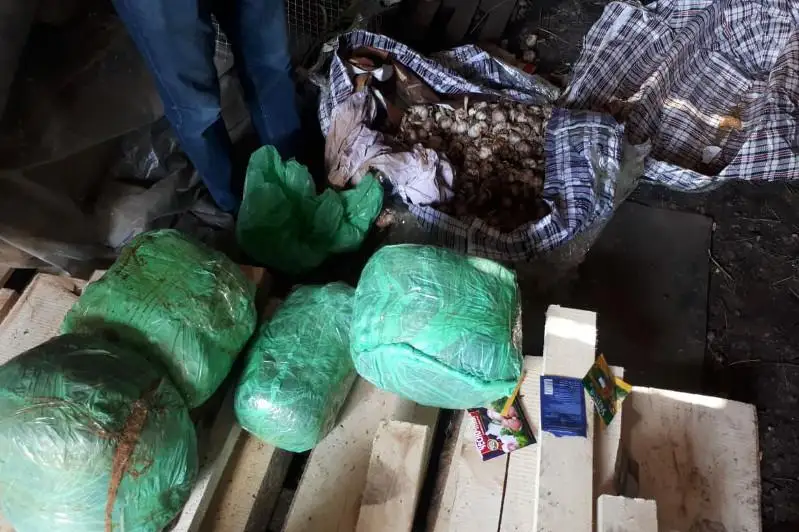 Крупную партию  наркотиков изъяли в ВКО